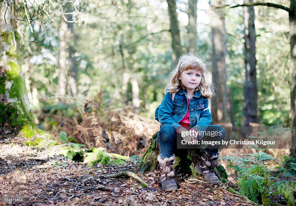 A woodland walk