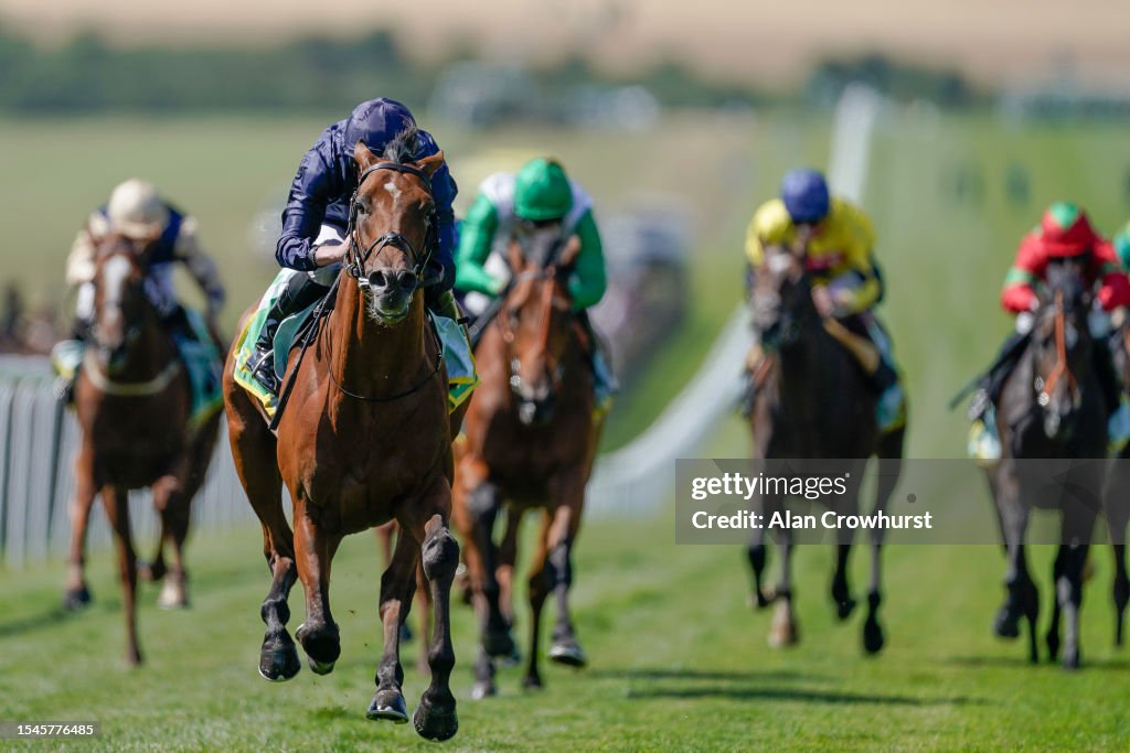 Newmarket Races