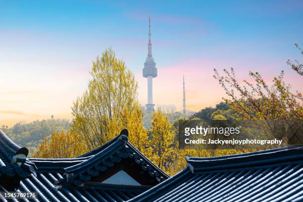 autumn at namsan mountain park in seoul's n seoul tower - namsan stock pictures, royalty-free photos & images