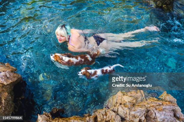 junge frau, die mit ihren beiden hunden im meer schwimmt - cavalier king charles spaniel stock-fotos und bilder