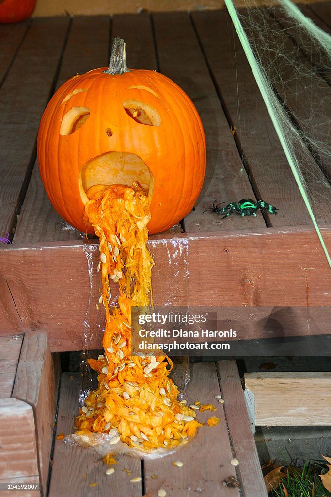 Pumpkin