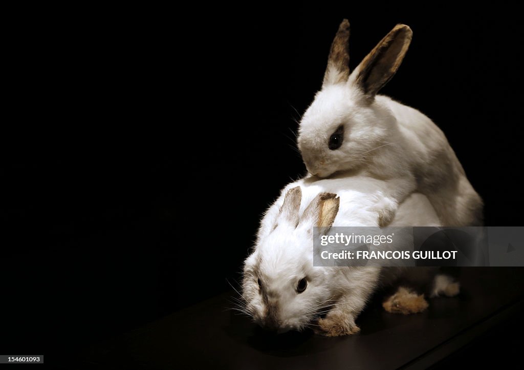 FRANCE-SCIENCE-ANIMALS-EXHIBITION