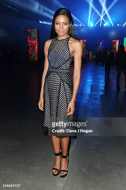 Naomie Harris attends the Royal world premiere after party of 'Skyfall' at The Tate Modern on October 23, 2012 in London, England.