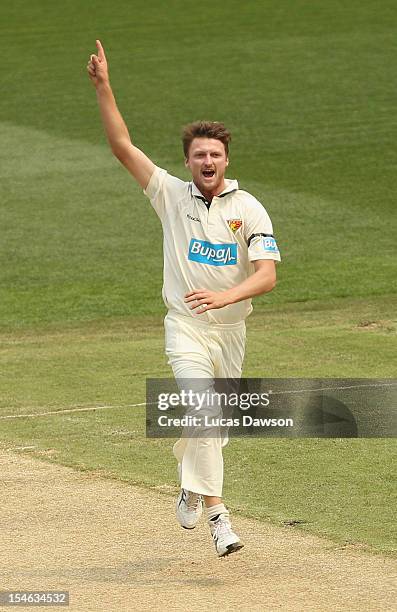 Jackson Bird of the Tigers celebrates a wicket during day two of the Sheffield Shield match between the Victorian Bushrangers and the Tasmanian...