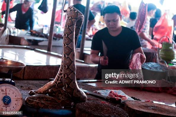 A dead python hangs at a stall selling exotic animal meat at the ...