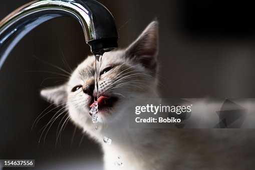 Drink Drink