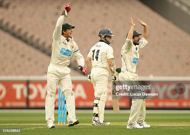 Ed Cowan and Tim Paine of the Tigers appeal for a wicket during day two of the Sheffield Shield match between the Victorian Bushrangers and the...