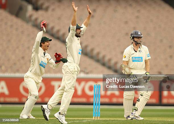 Ed Cowan and Tim Paine of the Tigers appeal for a wicket during day two of the Sheffield Shield match between the Victorian Bushrangers and the...