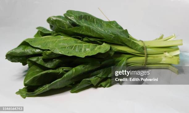 a bundle of chard - chard stock pictures, royalty-free photos & images