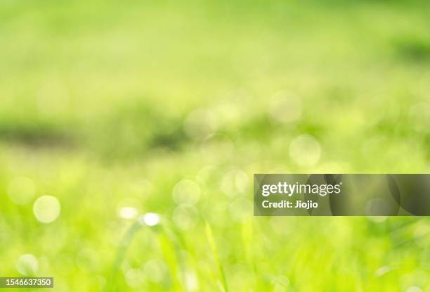 lawn bokeh, lens effect - flouté photos et images de collection
