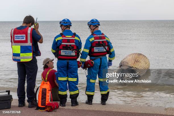 Coastguard volunteers secure the site where an 8.5 metre long, 10 tonne dead male Humpback whale washed up on St Marys Beach on the 21st of July 2023...