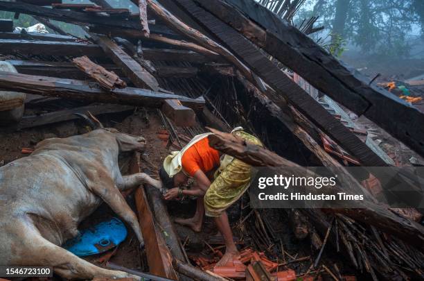 Ragi Pardhi whose 14 relatives were died in the landslide at Irshalwadi village, Khalapur in Raigad, bid farewell to the animals and bull that died...