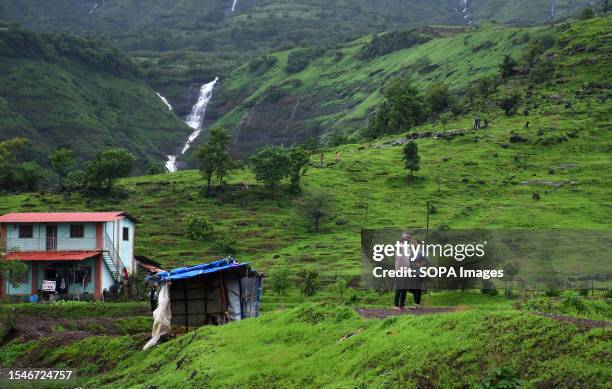 Couple seen taking selfies on their way to waterfall on the outskirts of Mumbai. Forest department along with the local police has restricted...