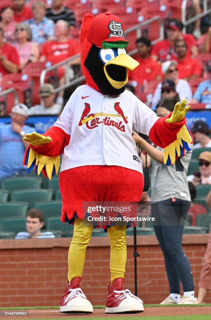 The St. Louis Cardinals mascot Fredbird as seen before a MLB game News  Photo - Getty Images