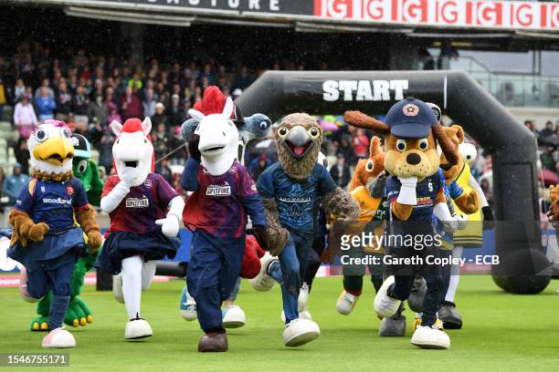 County mascots take part in the annual T20 Finals Day Mascot Race at Edgbaston on July 15, 2023 in Birmingham, England.