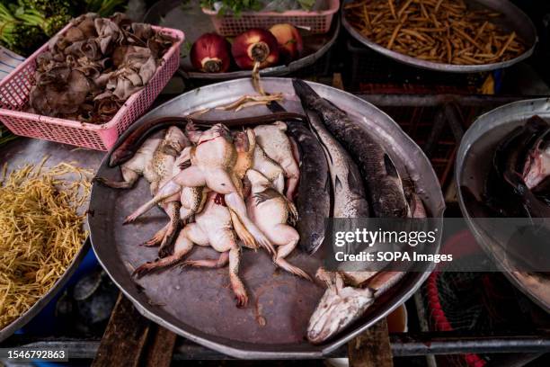 Frogs and fish for sale at a wet market in Phra Khanong Bangkok.