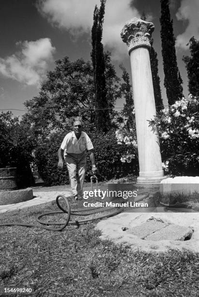 Israel, in July 1967, Moshe Dayan, in his garden, his house has Zahala in the suburbs of Tel Aviv, opening the valve that feeds a hose to water his...