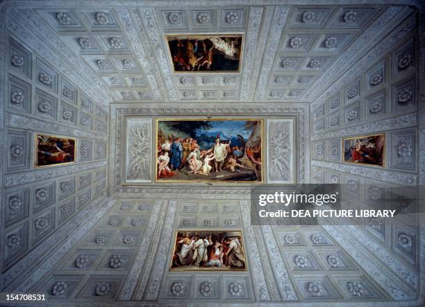 Marcus Regulus Photos and Premium High Res Pictures - Getty Images