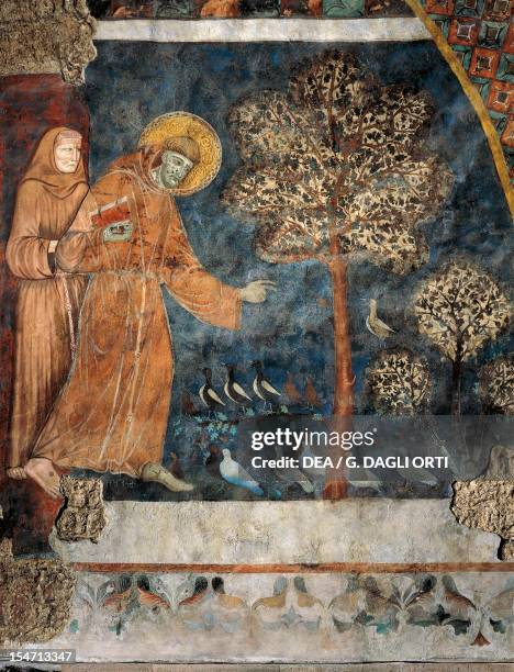 Preaching to the Birds, fresco by the Master of St Francis, Lower Church, Papal Basilica of St Francis of Assisi , Assisi, Umbria. Italy, 13th...