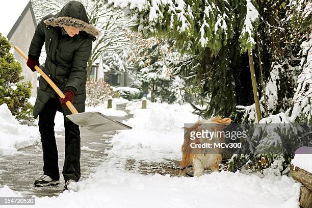 winter fun - snow shovel 個照片及圖片檔