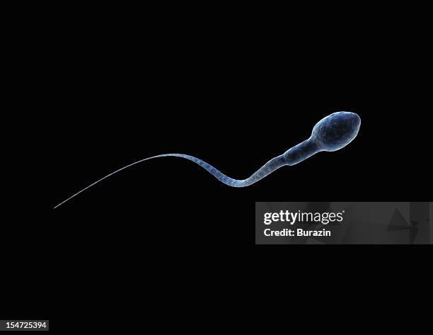 single sperm cell - sperm stockfoto's en -beelden