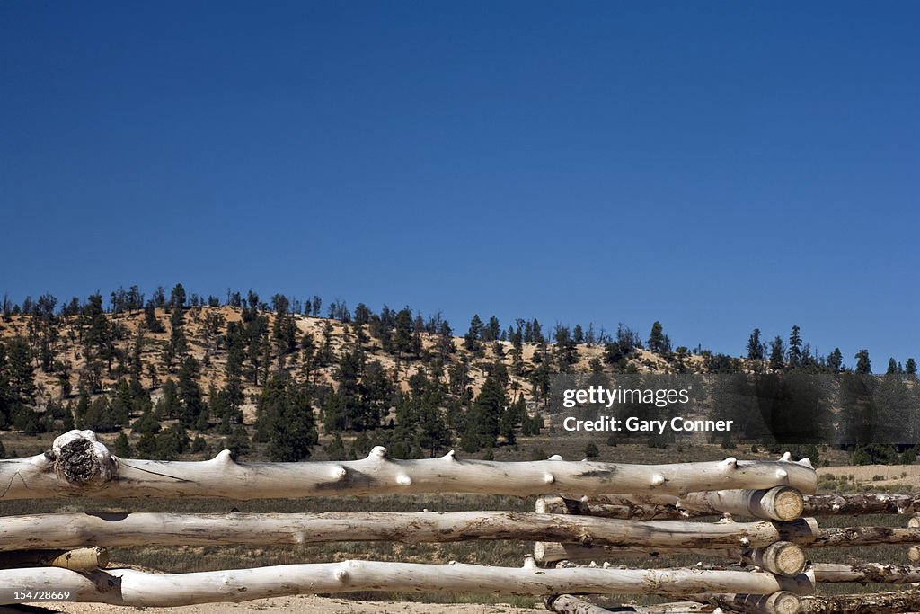 Log rail fence