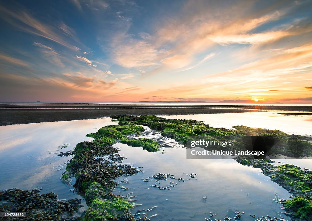 Seascape Colours