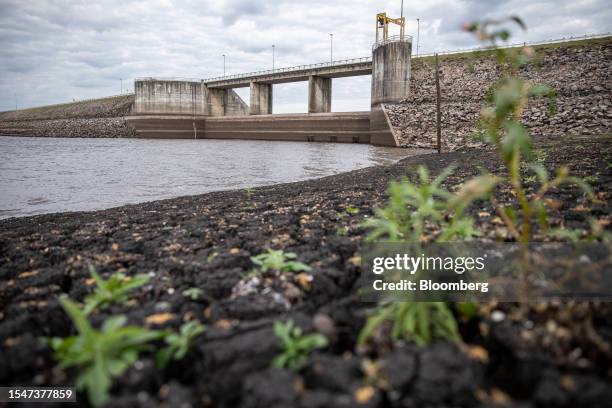 Vegetation grows on a dried lake bed at the Paso Severino reservoir during a drought in Florida, Uruguay, on Friday, July 21, 2023. Paso Severino,...