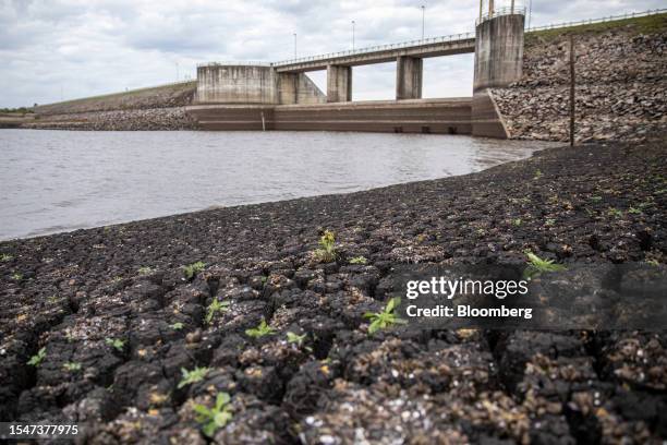 Vegetation grows on a dried lake bed at the Paso Severino reservoir during a drought in Florida, Uruguay, on Friday, July 21, 2023. Paso Severino,...
