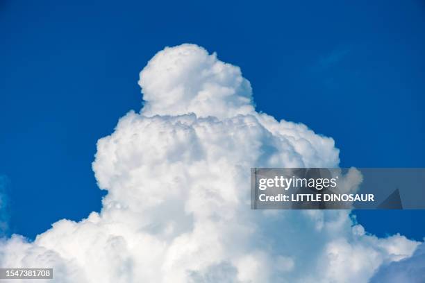 cumulonimbus and blue sky in midsummer - cumulonimbus fotografías e imágenes de stock
