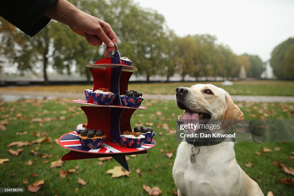 MP's And Their Dogs Contest The Westminister Dog Of The Year Competition