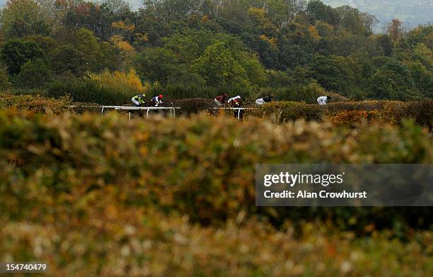 Matt Taylor Racing 89 Ludlow Taylor Stock Photos, High-Res Pictures, and Images - Getty Images
