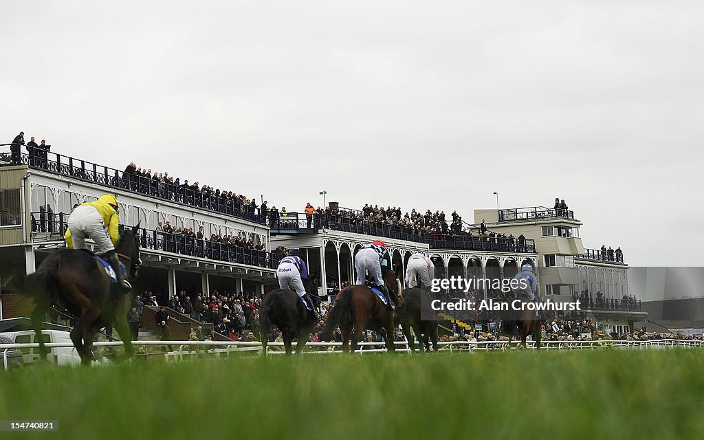 Runners pass the grandstands in The Racing Welfare Week Juvenile ...