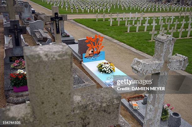 This image taken on October 25, 2012 in Nantes, in western France, shows the "iron grave" of the family of Serge Danot who died in 1990 and was the...