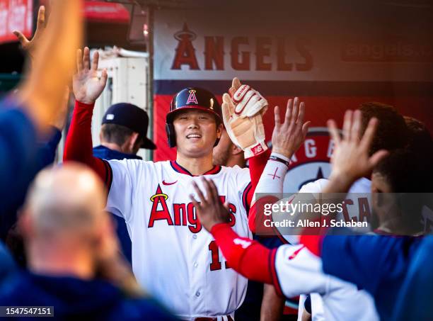 Anaheim, CA Angels starting pitcher and two-way player Shohei Ohtani is congratulated by teammates after scoring on Angels center fielder Mickey...