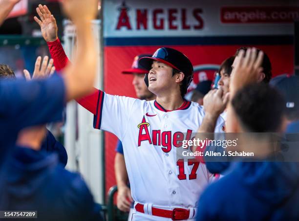 Anaheim, CA Angels starting pitcher and two-way player Shohei Ohtani is congratulated by teammates after scoring on Angels center fielder Mickey...