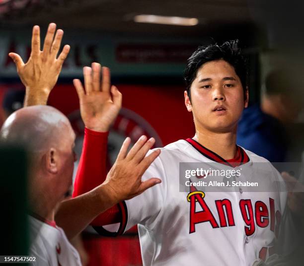 Anaheim, CA Angels starting pitcher and two-way player Shohei Ohtani is congratulated by teammates in the dugout against the Pirates at Angel Stadium...