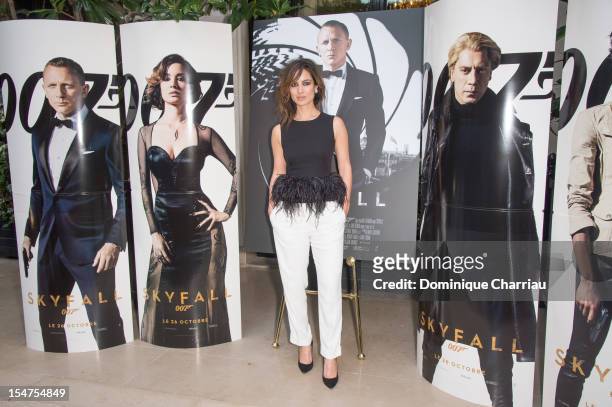 Berenice Marlohe poses during the photocall for the film 'Skyfall' at Hotel George V on October 25, 2012 in Paris, France.