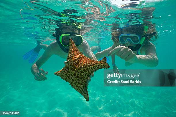 snorkellers holding a four legs starfish - scuba diving girl stock pictures, royalty-free photos & images