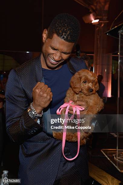 Honoree Usher Raymond IV attends the second annual Pencils of Promise Gala at Guastavino's on October 25, 2012 in New York City.