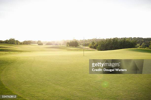 view across golf green at sunrise. - ゴルフ場　無人 ストックフォトと画像