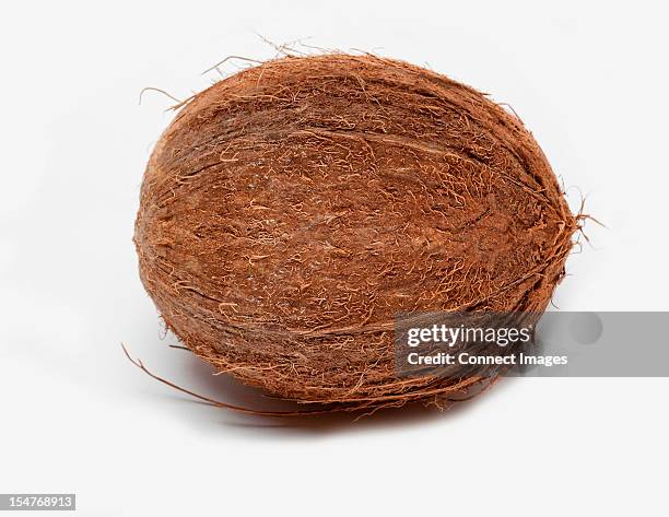 Coco Nut Texture Coconuts Texture Photos and Premium High Res Pictures - Getty Images