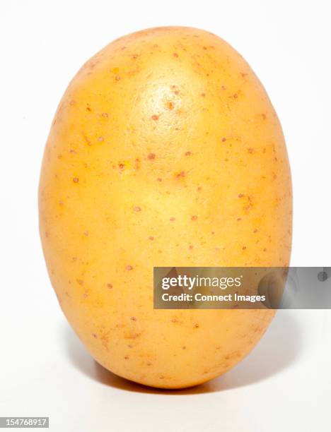 raw potato - pomme de terre photos et images de collection