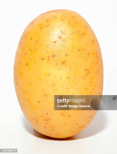 raw potato - raw potato stock pictures, royalty-free photos & images