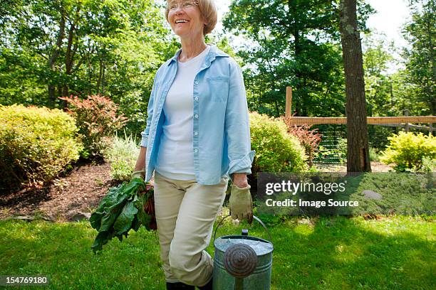 woman with watering can and beetroot in garden - holding watering can stock pictures, royalty-free photos & images