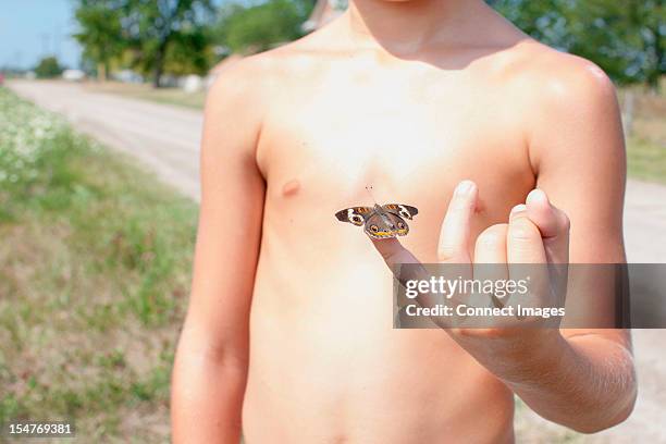 boy holding butterfly on little finger - little finger stock pictures, royalty-free photos & images