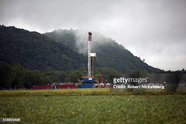 Soybean field lies in front of a natural gas drilling rig September 8, 2012 in Fairfield Township, Pennsylvania. The area sits above the Marcellus...