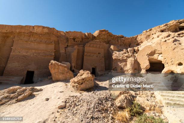Al Bad 359 Tabuk Stock Photos, High-Res Pictures, and Images - Getty Images