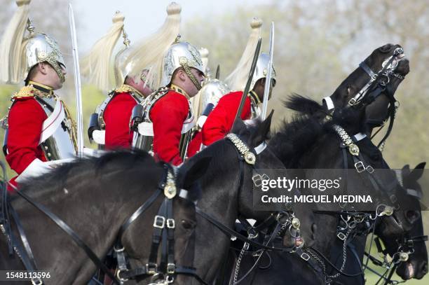 Members of the Household Cavalry Mounted Regiment are pictured on their horses during the Major General's inspection at Hyde Park in central London,...