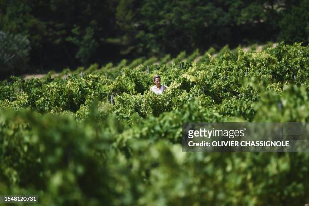 Winemaker Anais Vallot walks through vines at her winery in Vinsobres, in the wine-growing area of the Rhone Valley, south eastern France, on July...